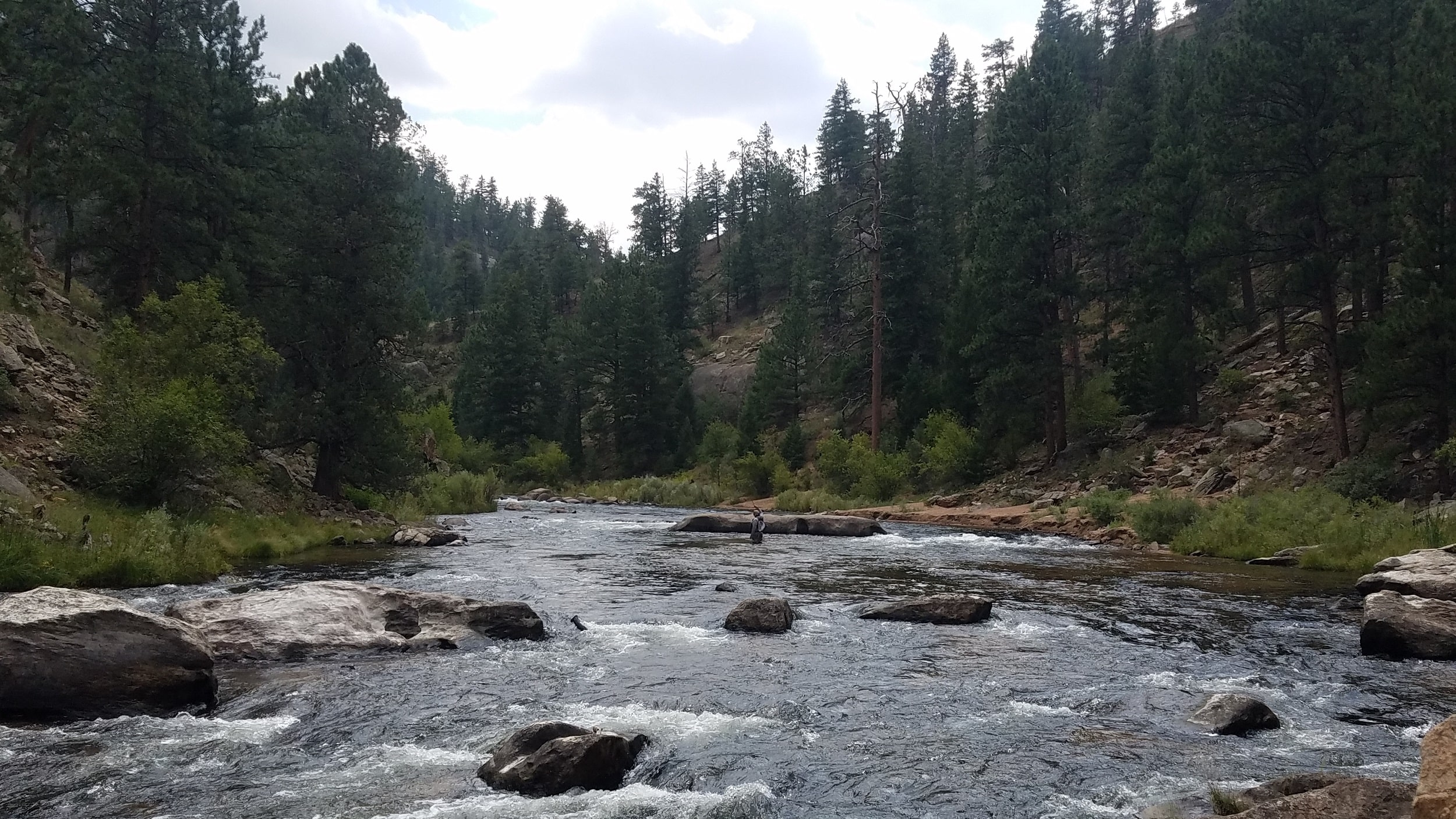A clear Colorado tailwater running through a pine canyon
